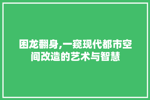困龙翻身,一窥现代都市空间改造的艺术与智慧