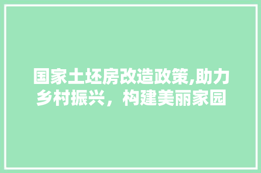 国家土坯房改造政策,助力乡村振兴，构建美丽家园