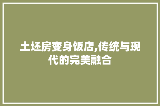 土坯房变身饭店,传统与现代的完美融合