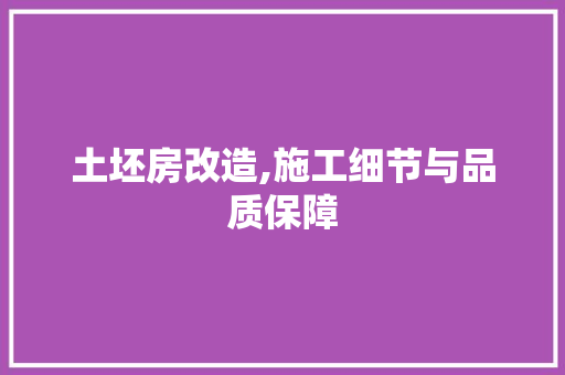 土坯房改造,施工细节与品质保障