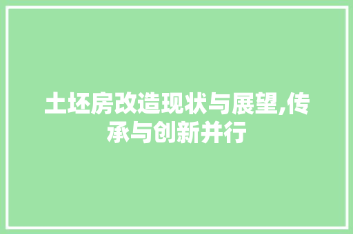 土坯房改造现状与展望,传承与创新并行 家电维修