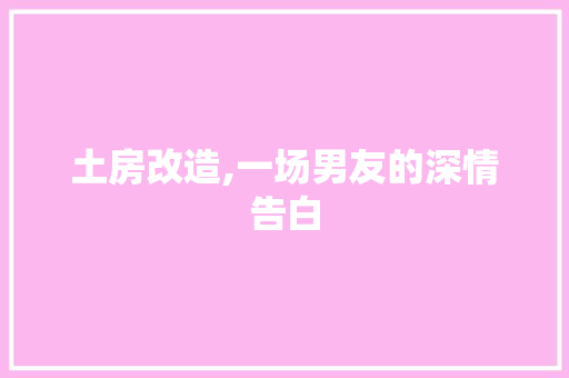 土房改造,一场男友的深情告白