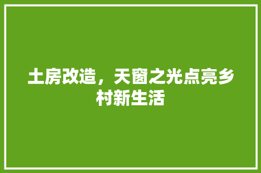 土房改造，天窗之光点亮乡村新生活