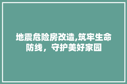地震危险房改造,筑牢生命防线，守护美好家园