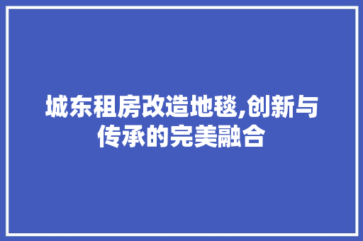 城东租房改造地毯,创新与传承的完美融合