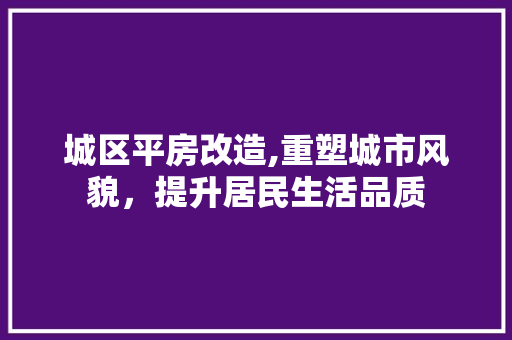 城区平房改造,重塑城市风貌，提升居民生活品质