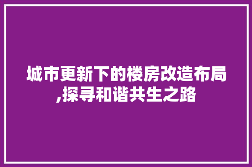 城市更新下的楼房改造布局,探寻和谐共生之路 厨房维修