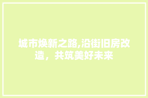 城市焕新之路,沿街旧房改造，共筑美好未来