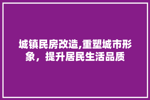 城镇民房改造,重塑城市形象，提升居民生活品质