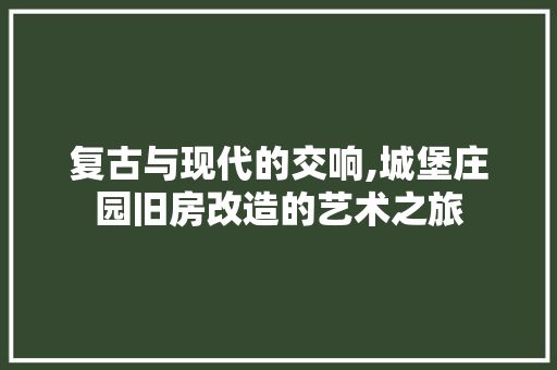 复古与现代的交响,城堡庄园旧房改造的艺术之旅