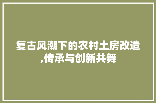 复古风潮下的农村土房改造,传承与创新共舞