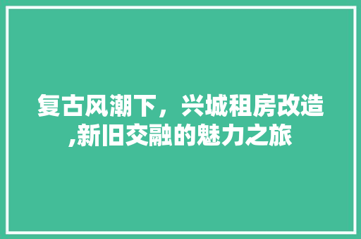 复古风潮下，兴城租房改造,新旧交融的魅力之旅