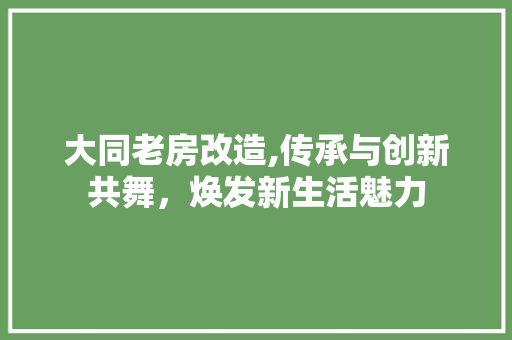 大同老房改造,传承与创新共舞，焕发新生活魅力