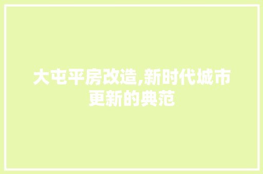 大屯平房改造,新时代城市更新的典范