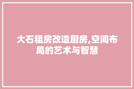 大石租房改造厨房,空间布局的艺术与智慧