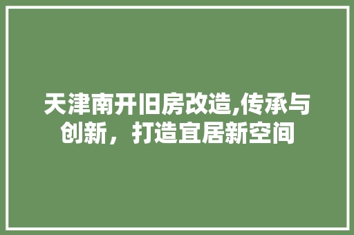 天津南开旧房改造,传承与创新，打造宜居新空间 厨房维修