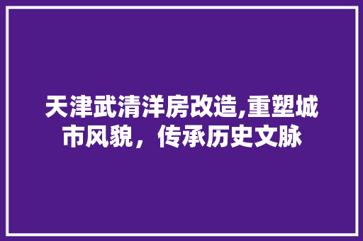天津武清洋房改造,重塑城市风貌，传承历史文脉