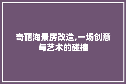 奇葩海景房改造,一场创意与艺术的碰撞 墙体维修