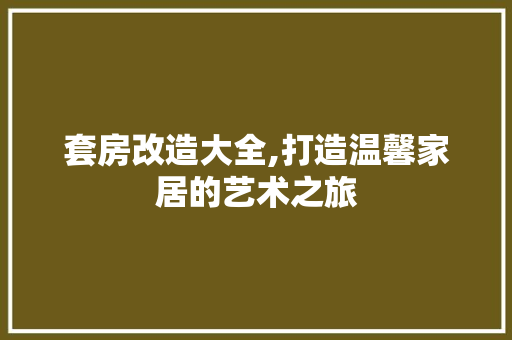套房改造大全,打造温馨家居的艺术之旅 居家维修
