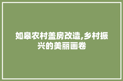 如皋农村盖房改造,乡村振兴的美丽画卷 厨房维修