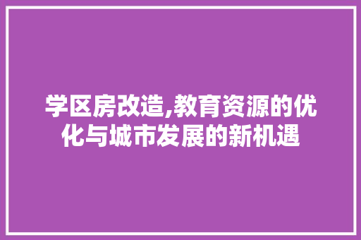 学区房改造,教育资源的优化与城市发展的新机遇 家电维修