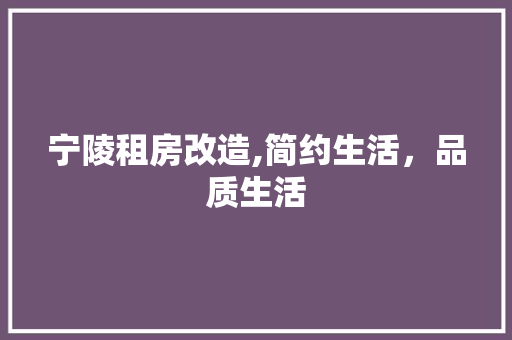 宁陵租房改造,简约生活，品质生活