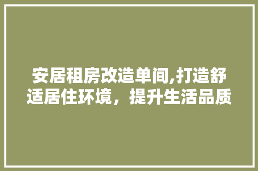 安居租房改造单间,打造舒适居住环境，提升生活品质
