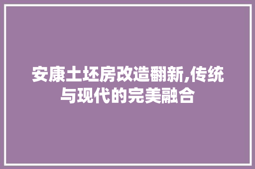 安康土坯房改造翻新,传统与现代的完美融合 厨房维修
