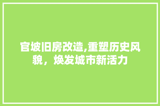 官坡旧房改造,重塑历史风貌，焕发城市新活力