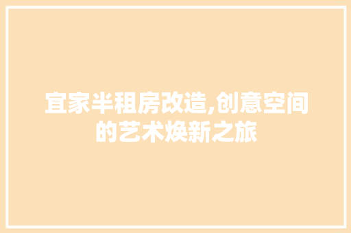 宜家半租房改造,创意空间的艺术焕新之旅