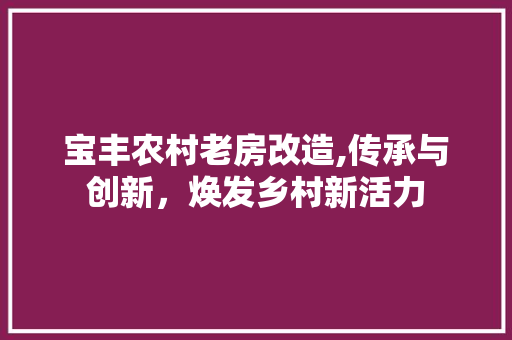 宝丰农村老房改造,传承与创新，焕发乡村新活力