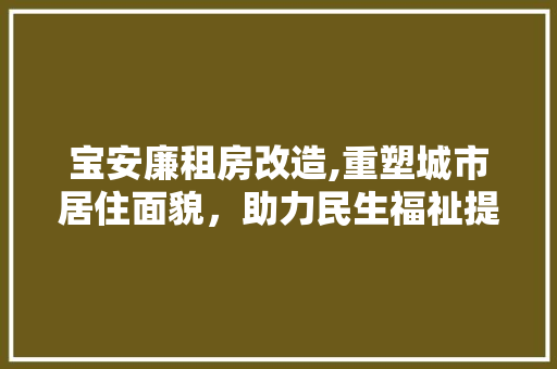 宝安廉租房改造,重塑城市居住面貌，助力民生福祉提升