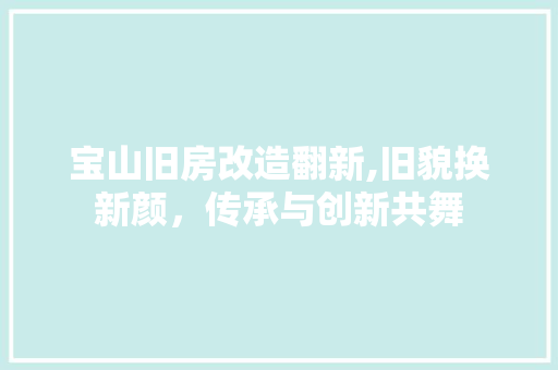 宝山旧房改造翻新,旧貌换新颜，传承与创新共舞 墙体维修