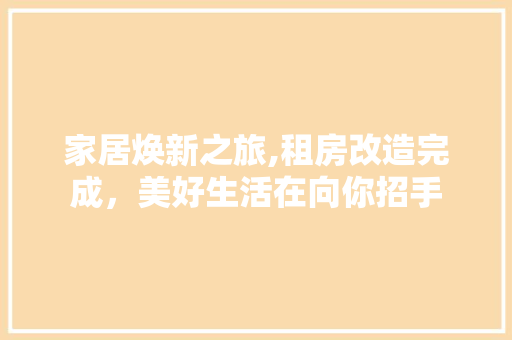 家居焕新之旅,租房改造完成，美好生活在向你招手 厨房维修