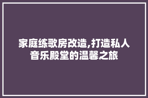 家庭练歌房改造,打造私人音乐殿堂的温馨之旅