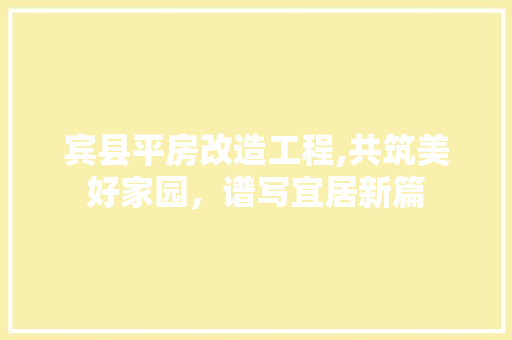 宾县平房改造工程,共筑美好家园，谱写宜居新篇 户内维修