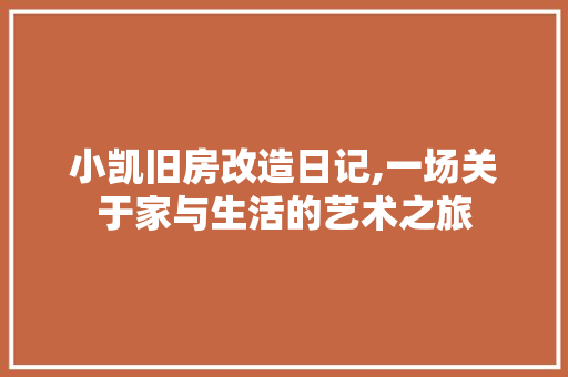 小凯旧房改造日记,一场关于家与生活的艺术之旅