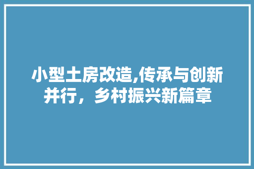 小型土房改造,传承与创新并行，乡村振兴新篇章