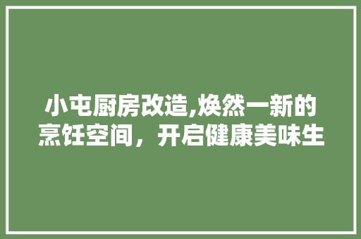 小屯厨房改造,焕然一新的烹饪空间，开启健康美味生活