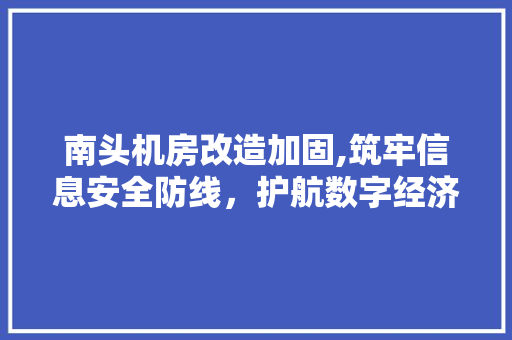 南头机房改造加固,筑牢信息安全防线，护航数字经济未来