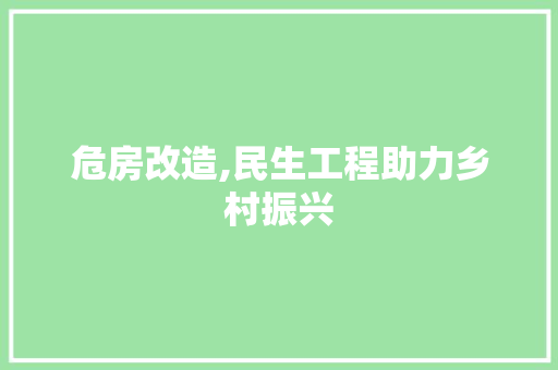 危房改造,民生工程助力乡村振兴