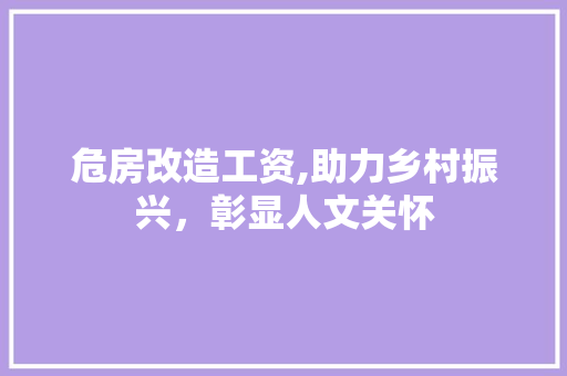 危房改造工资,助力乡村振兴，彰显人文关怀