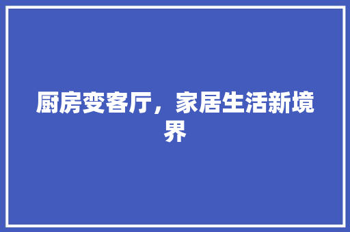 厨房变客厅，家居生活新境界