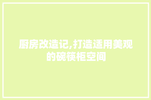 厨房改造记,打造适用美观的碗筷柜空间 厨房维修