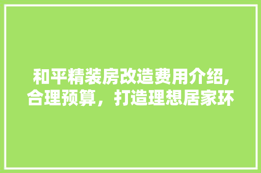 和平精装房改造费用介绍,合理预算，打造理想居家环境 厨房维修
