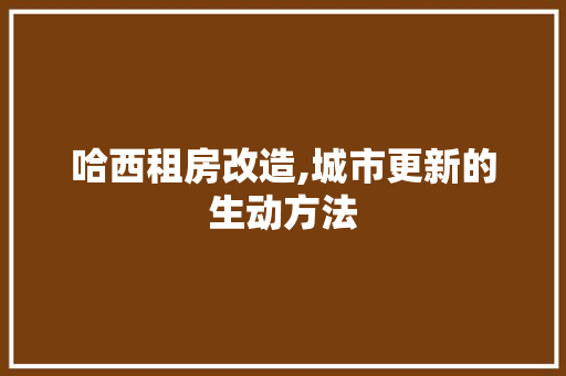 哈西租房改造,城市更新的生动方法 厨房维修
