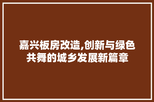 嘉兴板房改造,创新与绿色共舞的城乡发展新篇章 家电维修