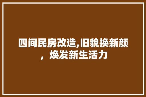 四间民房改造,旧貌换新颜，焕发新生活力 户内维修