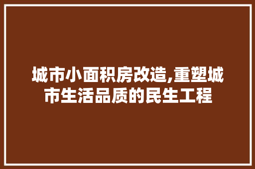城市小面积房改造,重塑城市生活品质的民生工程