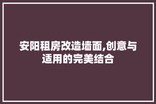 安阳租房改造墙面,创意与适用的完美结合